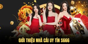 Tại sao nên chọn S666